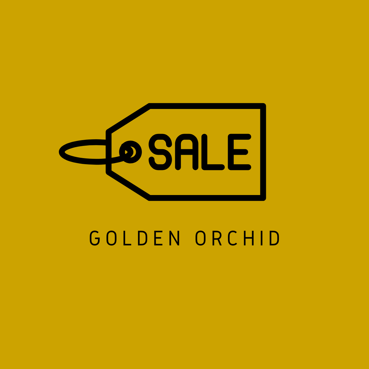 Golden Orchid
